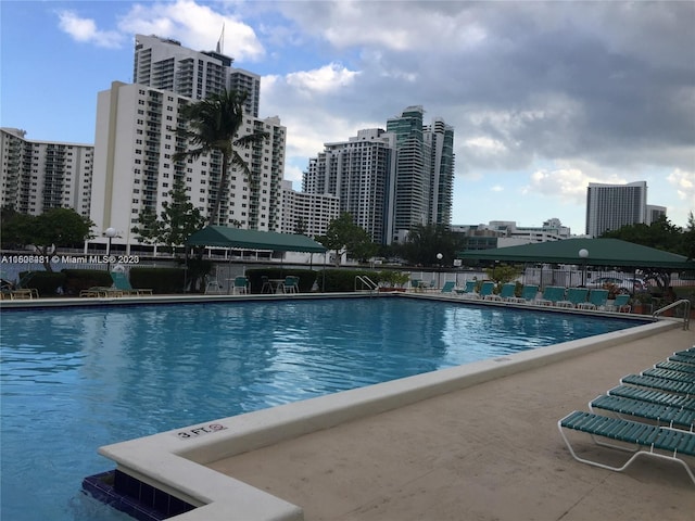 view of swimming pool