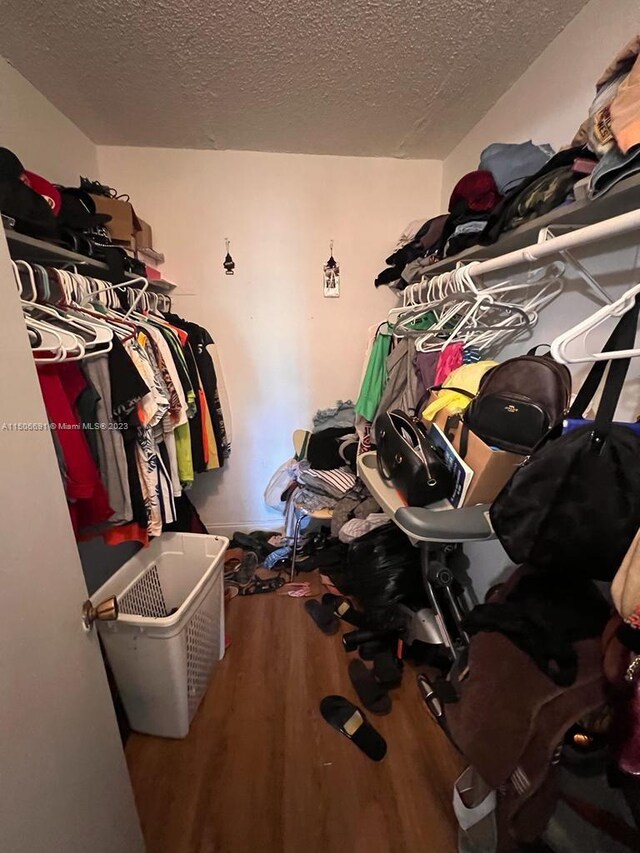 spacious closet featuring wood-type flooring