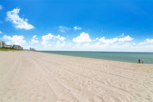 property view of water with a view of the beach