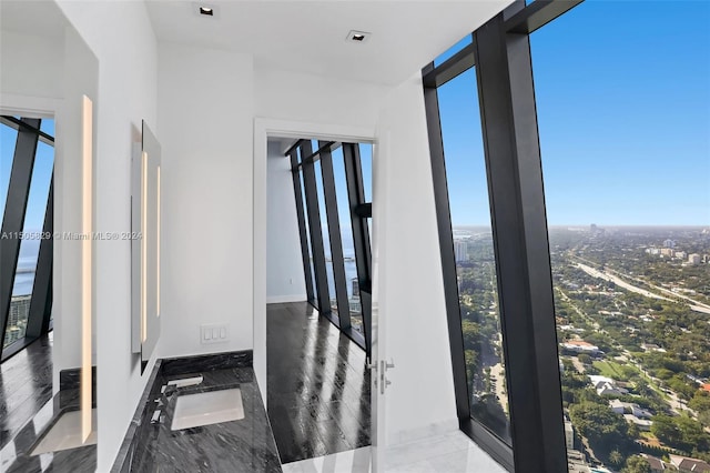 hallway featuring plenty of natural light, light hardwood / wood-style flooring, and sink