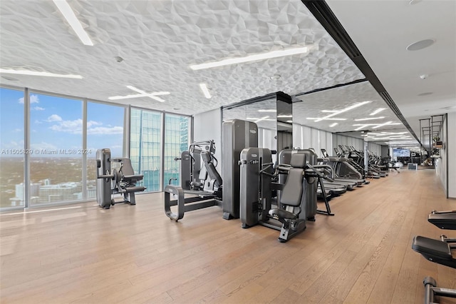 gym featuring floor to ceiling windows and light hardwood / wood-style floors