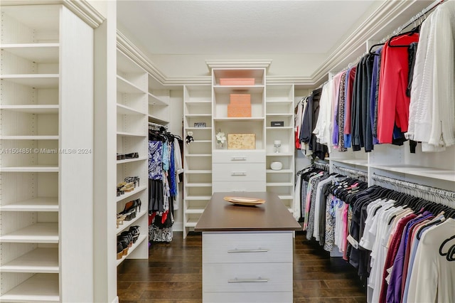 spacious closet featuring dark hardwood / wood-style flooring