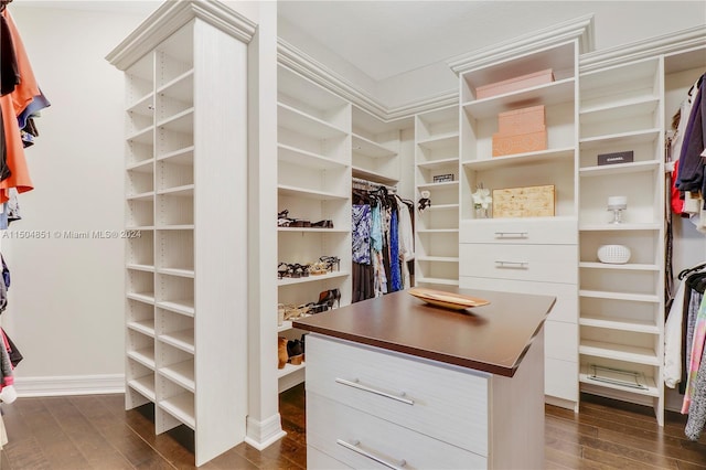 spacious closet featuring dark hardwood / wood-style floors