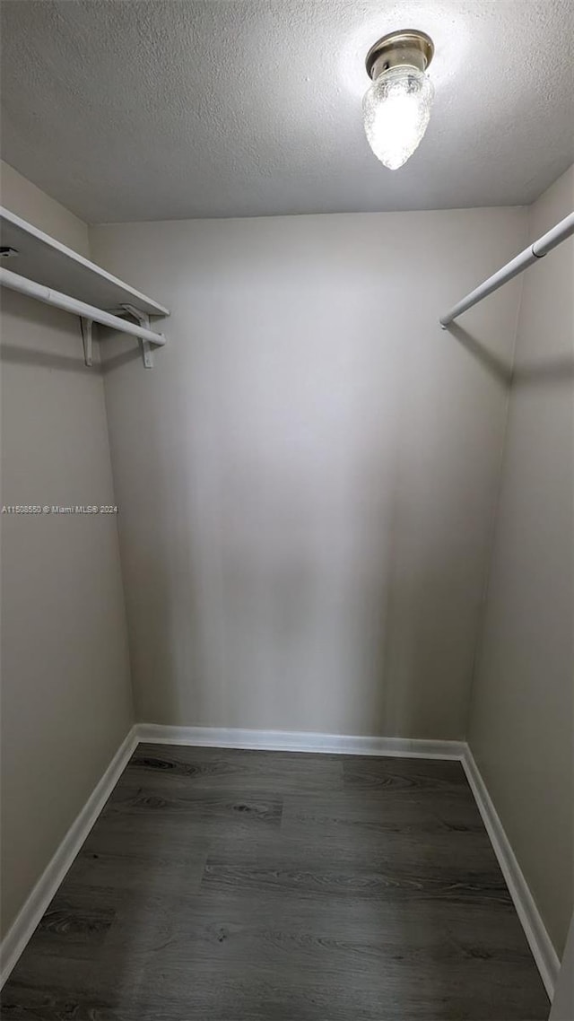 walk in closet featuring dark hardwood / wood-style floors