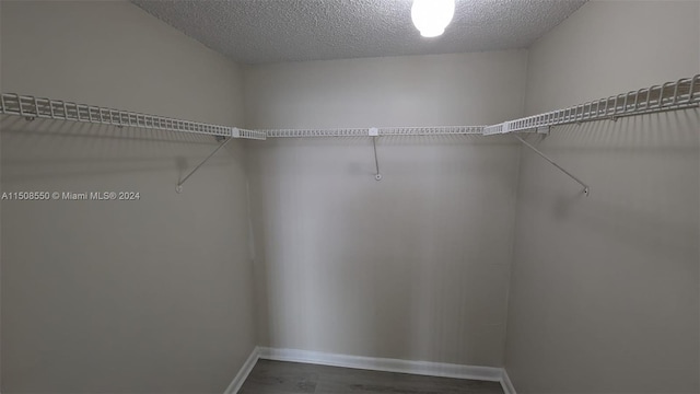 spacious closet with wood-type flooring