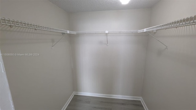 walk in closet featuring hardwood / wood-style flooring