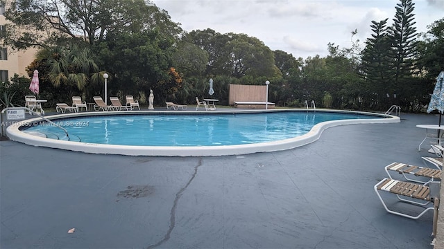 view of pool with a patio