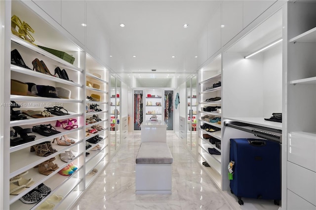 view of walk in closet