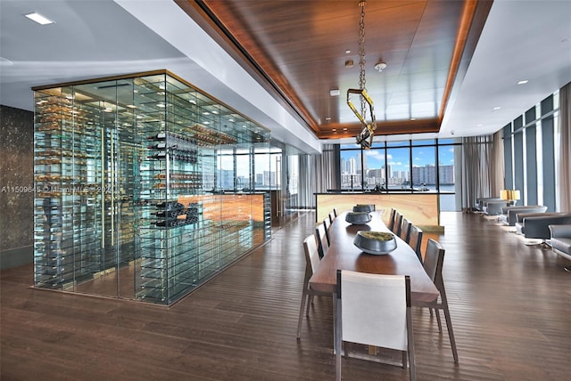 dining room with a tray ceiling, a healthy amount of sunlight, dark hardwood / wood-style flooring, and expansive windows