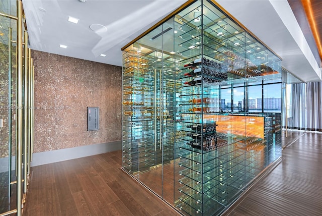 wine cellar with wood-type flooring