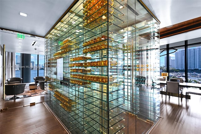 wine cellar featuring a wall of windows and hardwood / wood-style flooring