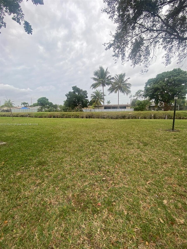 view of yard