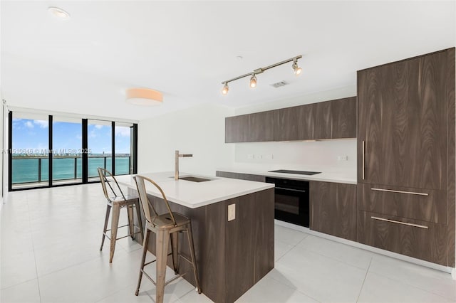 kitchen with sink, a water view, black appliances, a center island with sink, and floor to ceiling windows