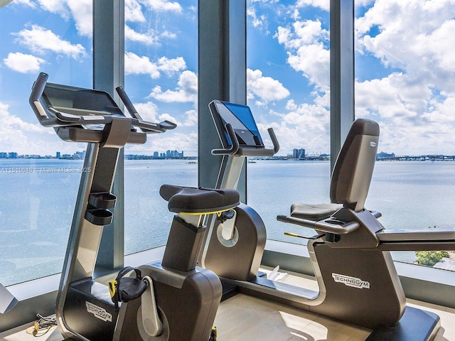 exercise room featuring plenty of natural light and a water view