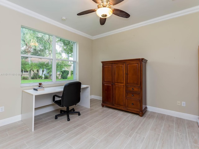 office with light hardwood / wood-style flooring, ceiling fan, and crown molding