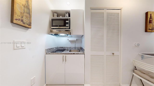 kitchen featuring sink, stainless steel microwave, and exhaust hood