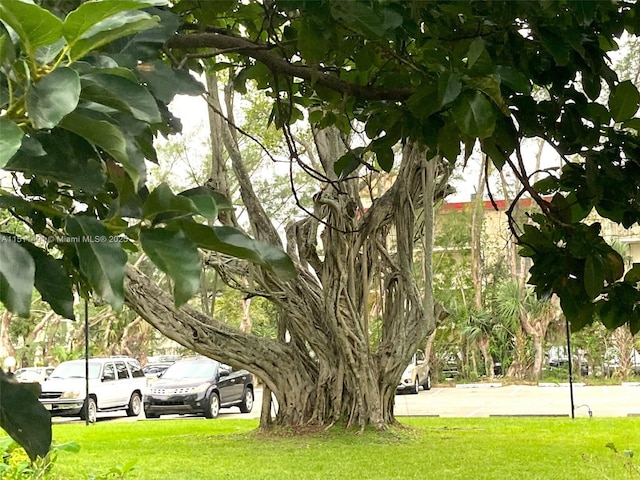 view of property's community featuring a yard