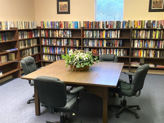 office featuring carpet flooring