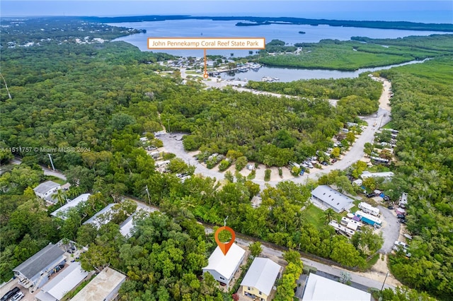 aerial view with a water view and a view of trees