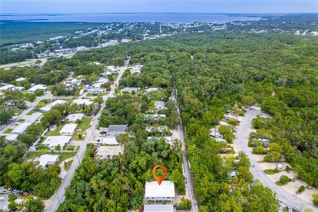 bird's eye view with a view of trees