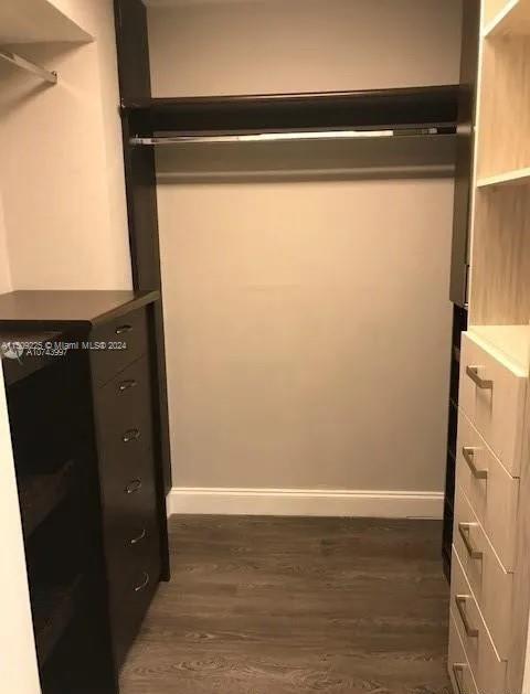 spacious closet with dark hardwood / wood-style flooring