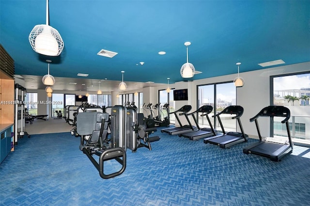 exercise room featuring dark colored carpet