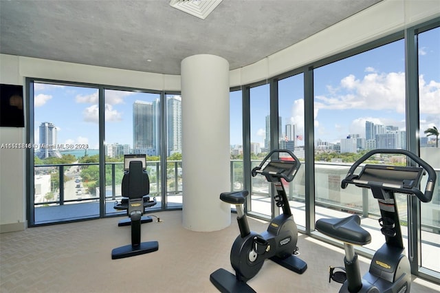 exercise room with a healthy amount of sunlight and carpet