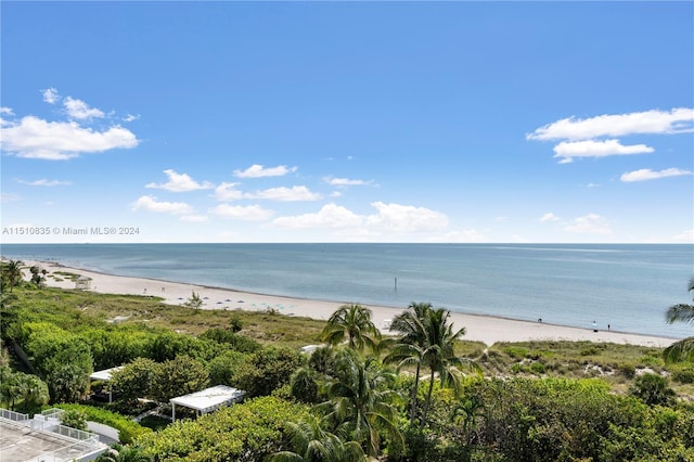 water view with a view of the beach