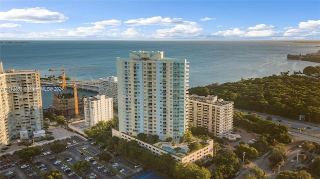 bird's eye view featuring a water view