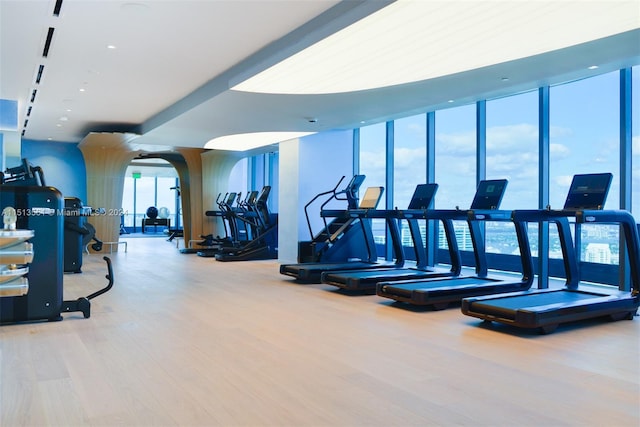 gym featuring expansive windows and light hardwood / wood-style flooring