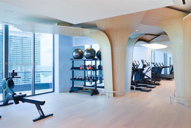 workout area featuring a wall of windows, hardwood / wood-style floors, and ornate columns