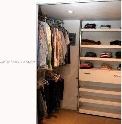 view of spacious closet