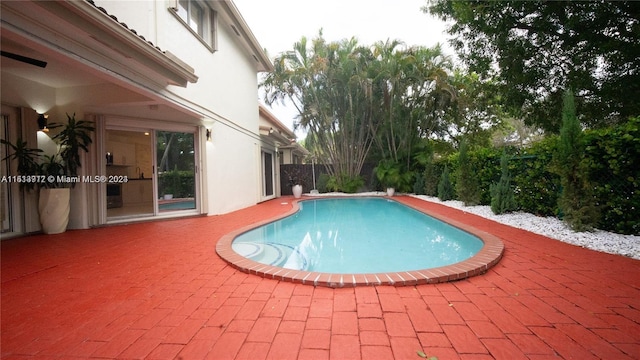 view of swimming pool featuring a patio