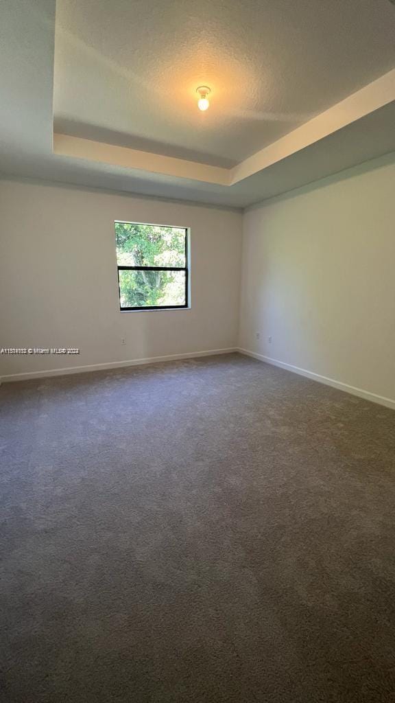 carpeted empty room featuring a raised ceiling