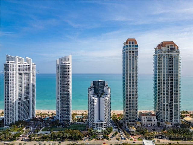 city view featuring a water view and a view of the beach