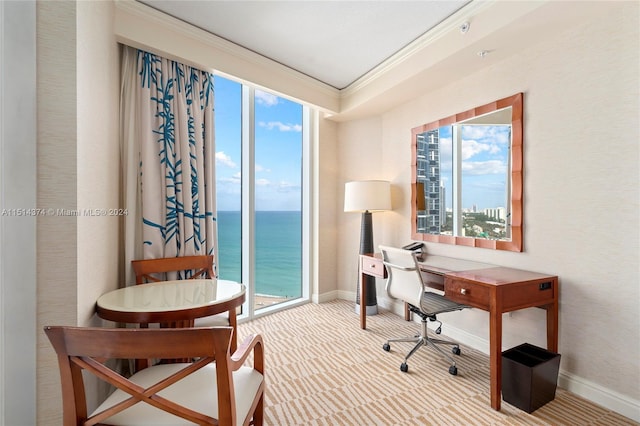 carpeted home office with a water view and ornamental molding