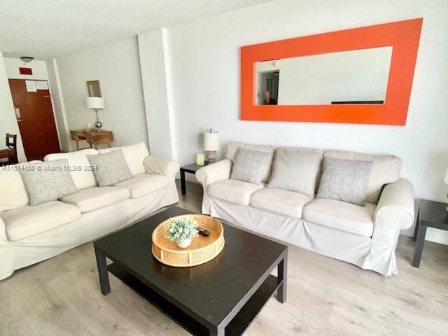 living room featuring hardwood / wood-style flooring