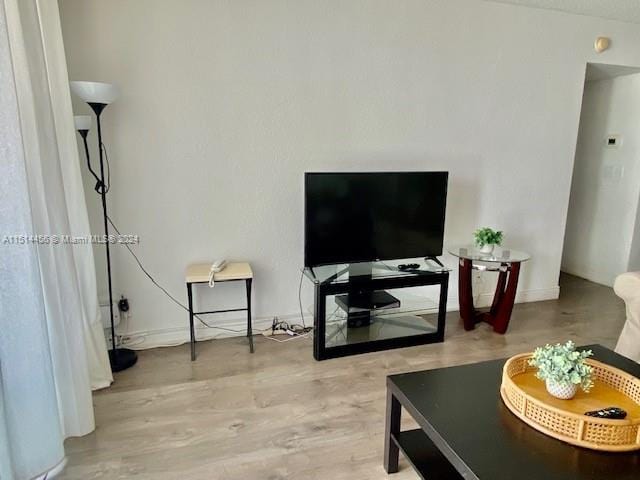 living room featuring wood-type flooring