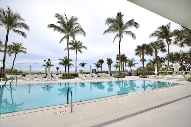 view of pool with a patio area