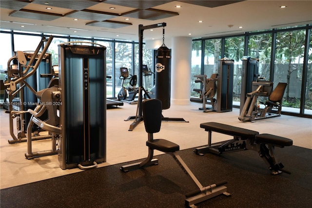 workout area with light carpet and expansive windows