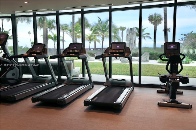 exercise room with plenty of natural light