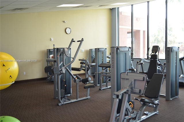 exercise room with a wall of windows, a drop ceiling, and dark colored carpet