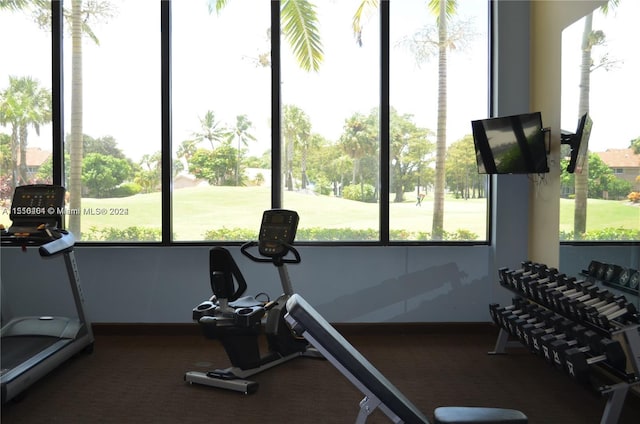 exercise room with a healthy amount of sunlight and dark colored carpet