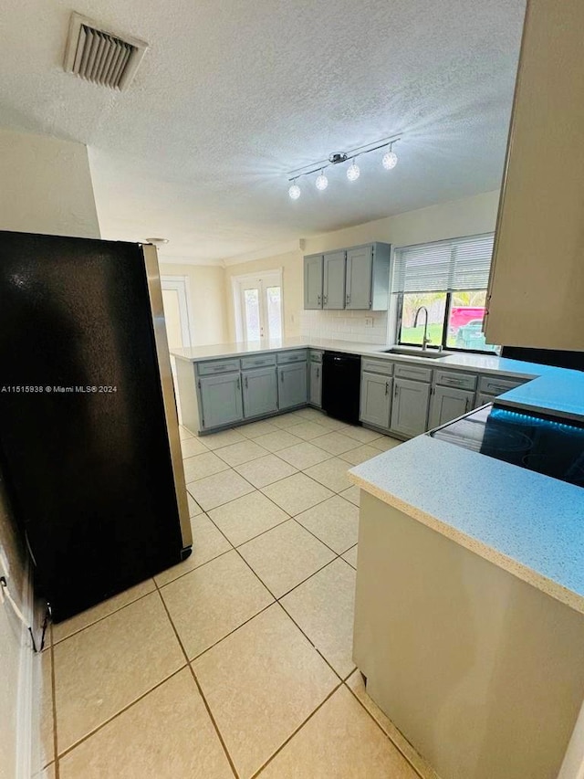 kitchen featuring plenty of natural light, black dishwasher, tasteful backsplash, and track lighting