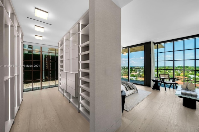 spacious closet with light hardwood / wood-style flooring