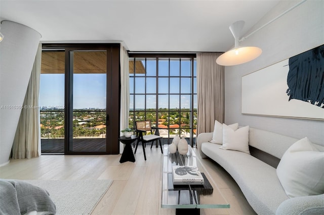 living room featuring a wall of windows and light hardwood / wood-style flooring