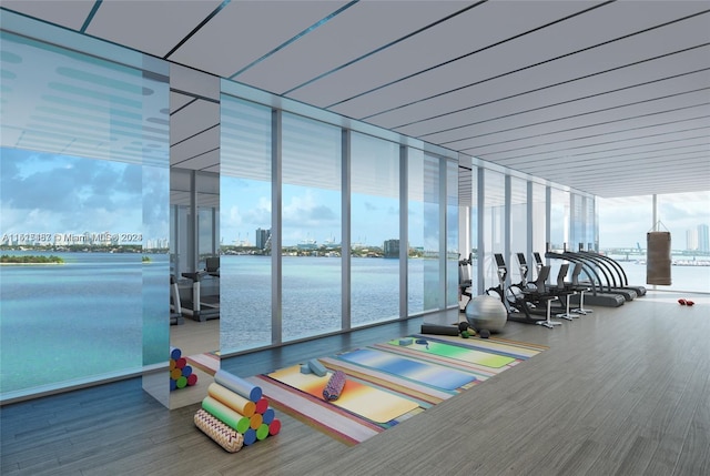 exercise room featuring hardwood / wood-style floors, a wall of windows, and a water view