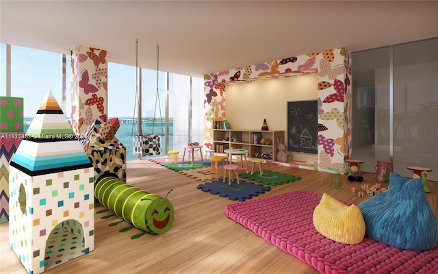 recreation room with floor to ceiling windows and light wood-type flooring