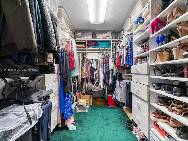 spacious closet with carpet flooring