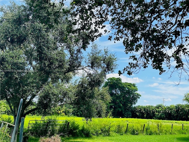 view of local wilderness